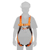 2 Point Body Harness. AB/20/SL/QR/RAIL-Arbil Rail (2554006143059)